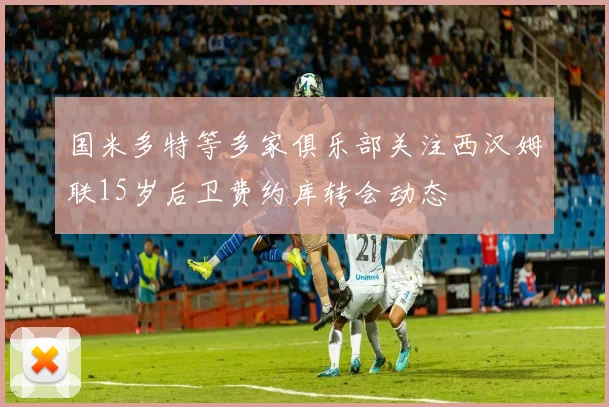 国米多特等多家俱乐部关注西汉姆联15岁后卫费约库转会动态