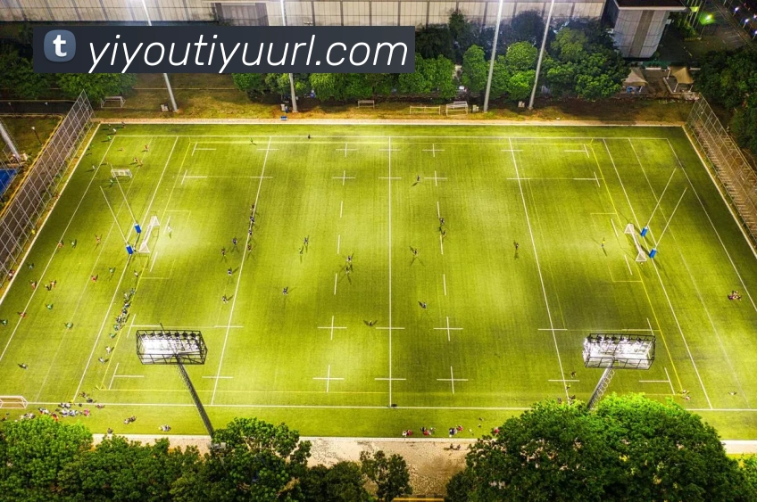 易游体育平台生态图