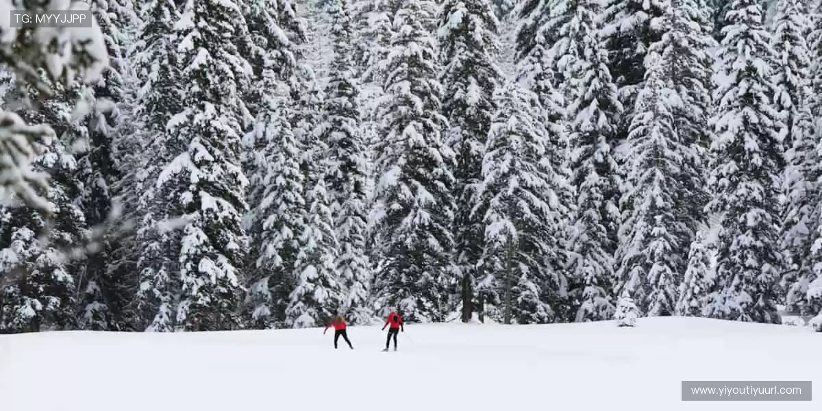 🏆【限量首发】冠军同款,专属你的荣耀珍藏!